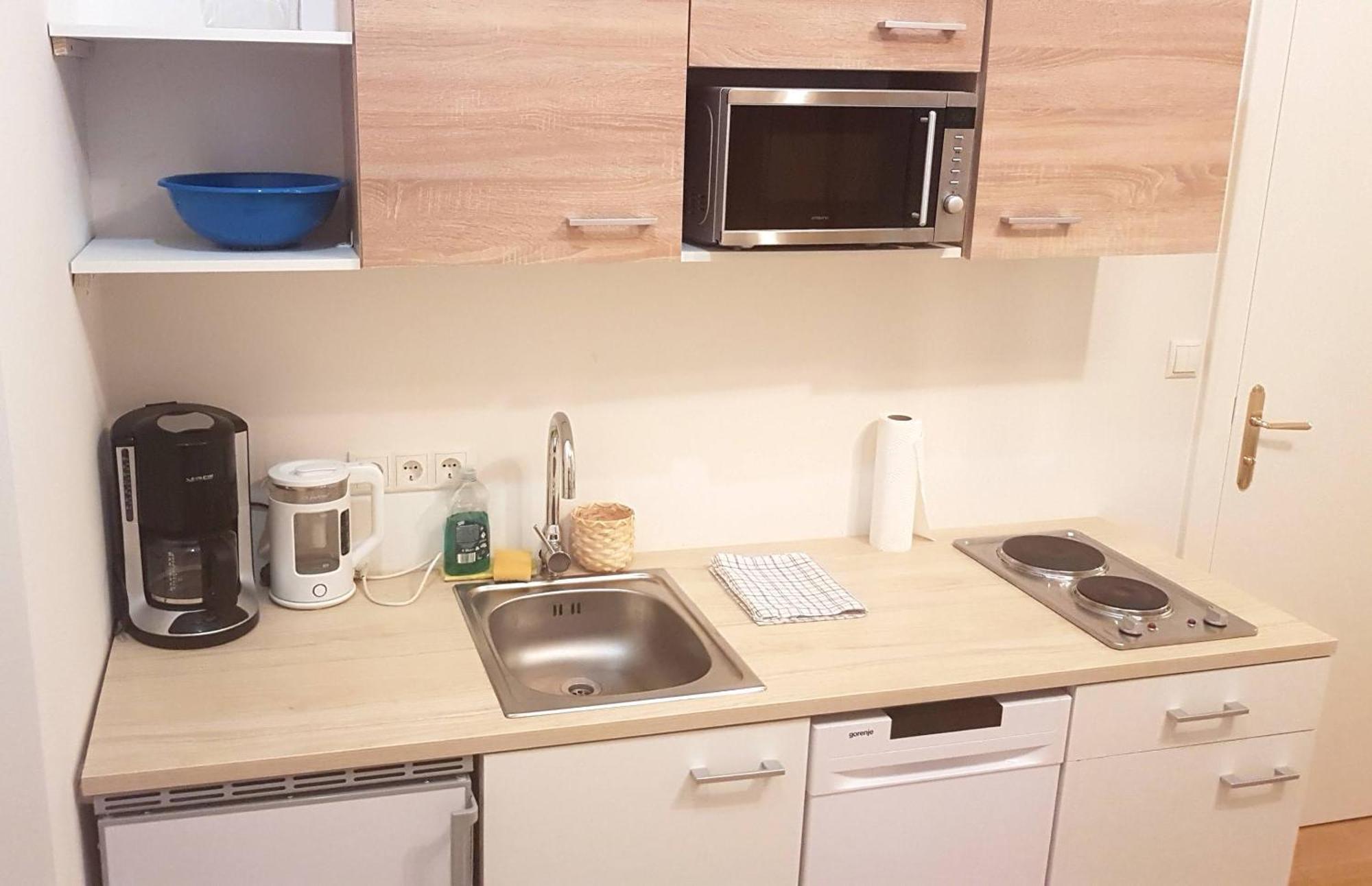 Sobieski District-1 Ring Apartment Vienna
